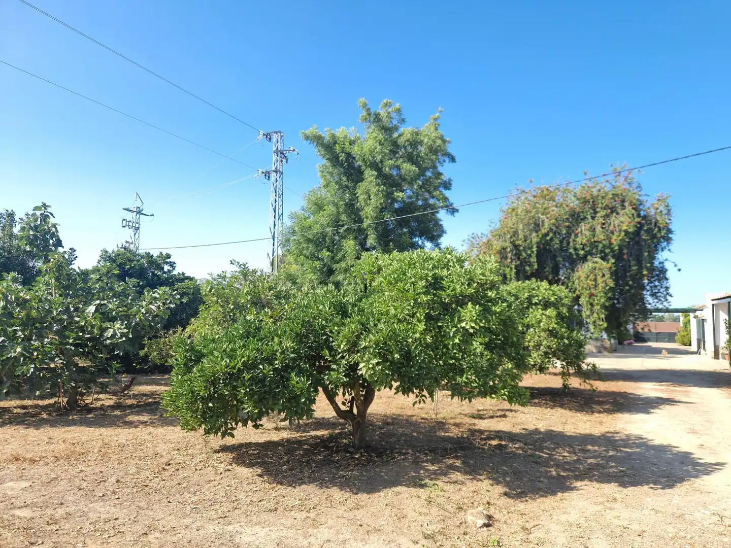 Finca rústica en venta en Jerez de la Frontera con Aire acondicionado, Calefacción y Piscina