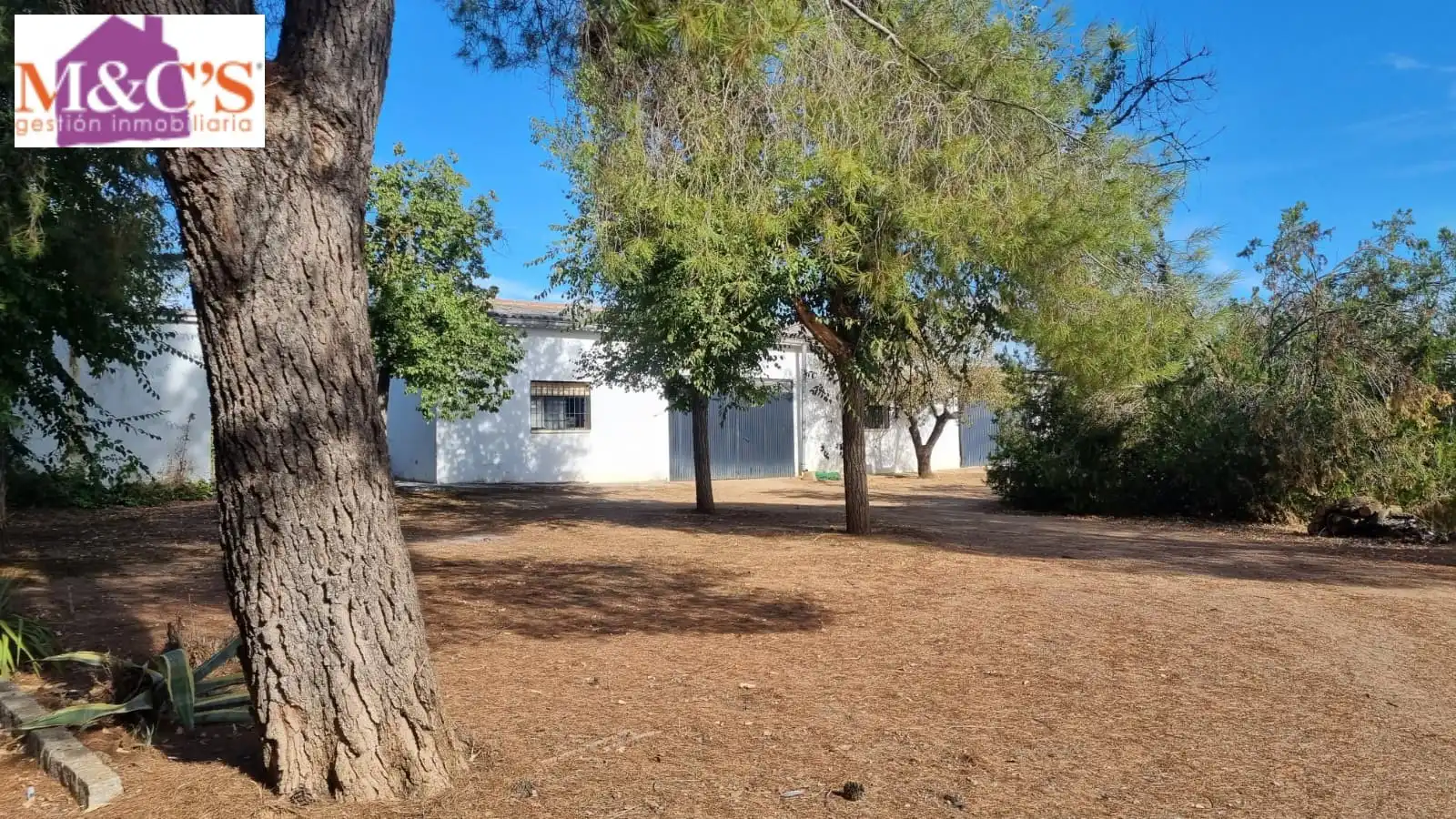Chalet con terraza en venta en Almodóvar del Campo, imagen 29