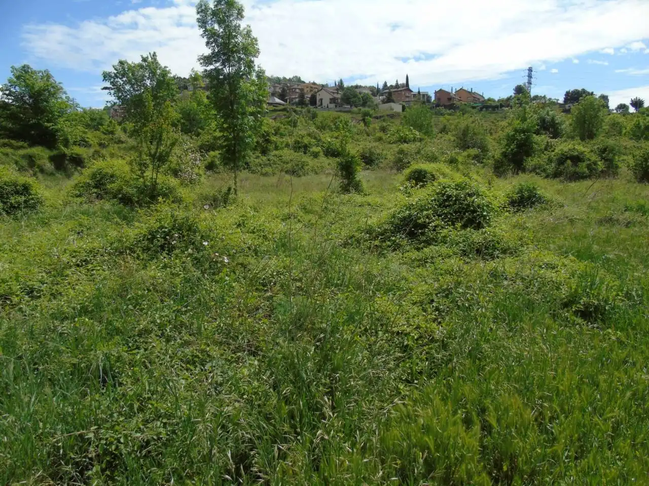 Terreno rustico in vendita a Berga, imagen 4