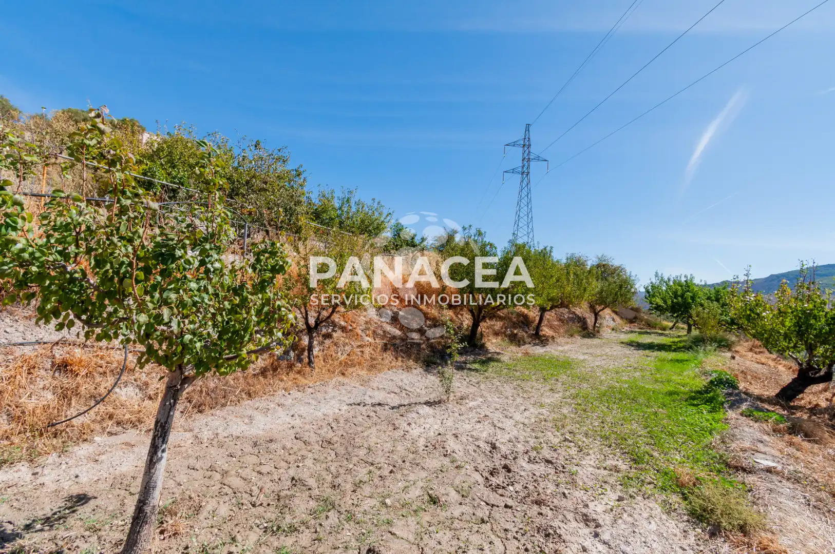 Villa mit Garten zum Verkauf in Fondón, imagen 48
