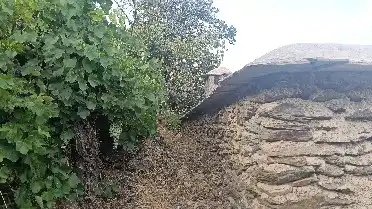 Rural land for sale in Alpujarra de la Sierra, imagen 8