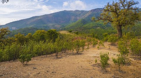 Foto 3 de Residencial en venda a La Zagaleta, Benahavís