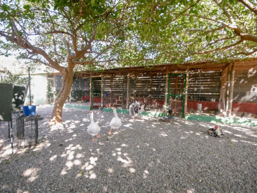 Casa rustica in vendita a Calle Bulerias, imagen 19