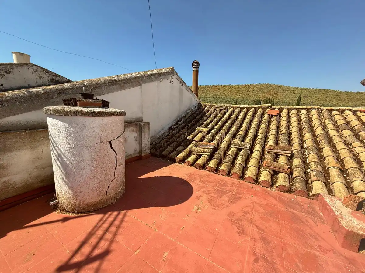 Vista exterior de Casa adosada en venta en Benamejí con Jardín privado, Terraza y Trastero