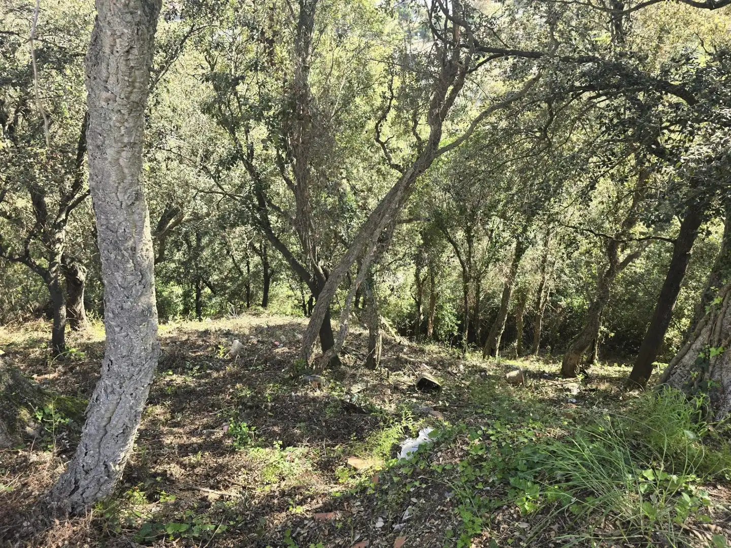 Residential land for sale in del Garrofer 7, imagen 9