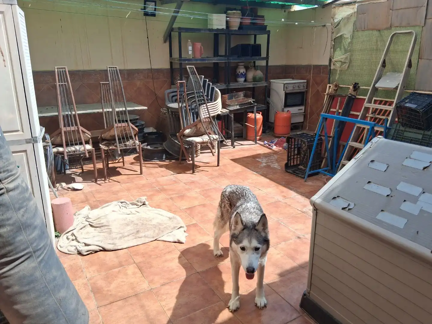 Casa o xalet en venda en El Ejido Ciudad