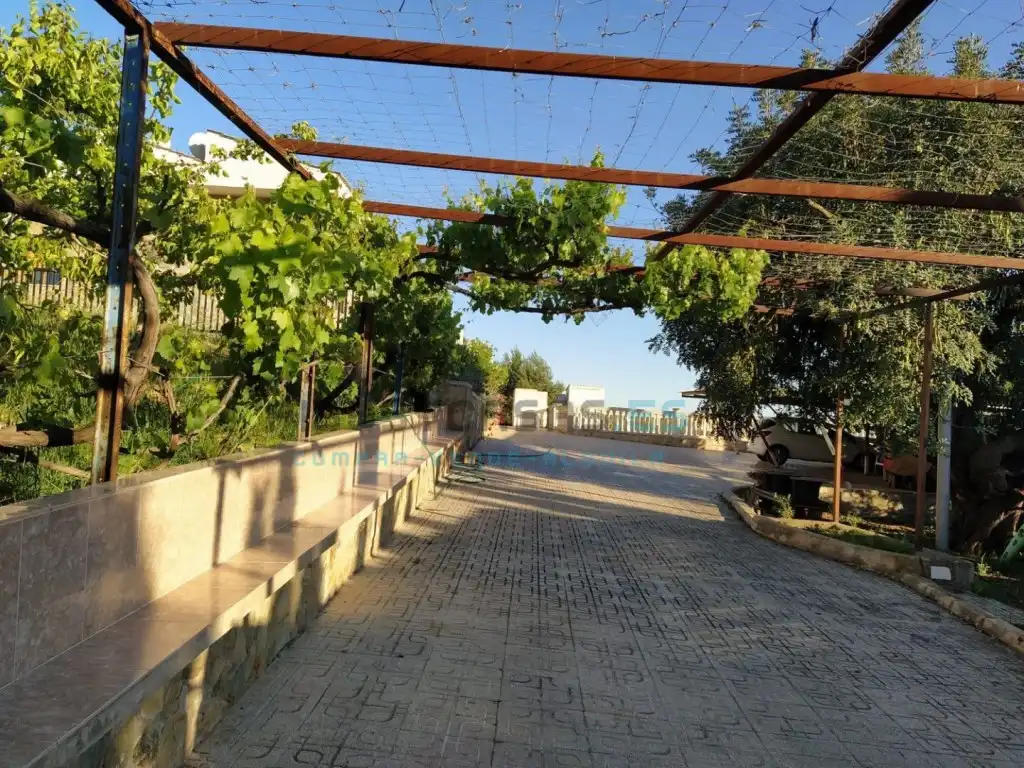 Vista exterior de Casa o chalet en venta en Catadau con Aire acondicionado, Jardín privado y Terraza