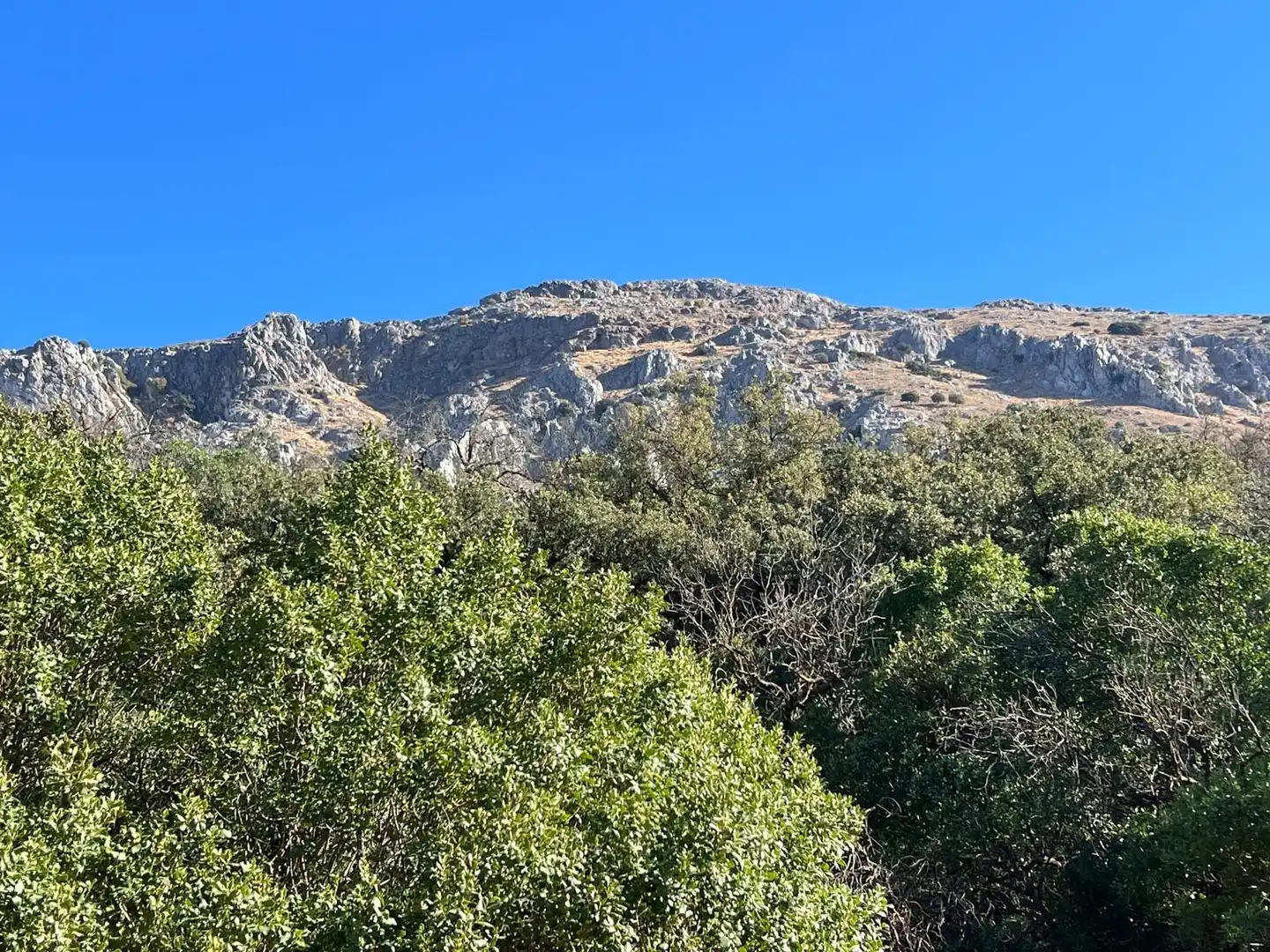 Vista exterior de Finca rústica en venda en Antequera