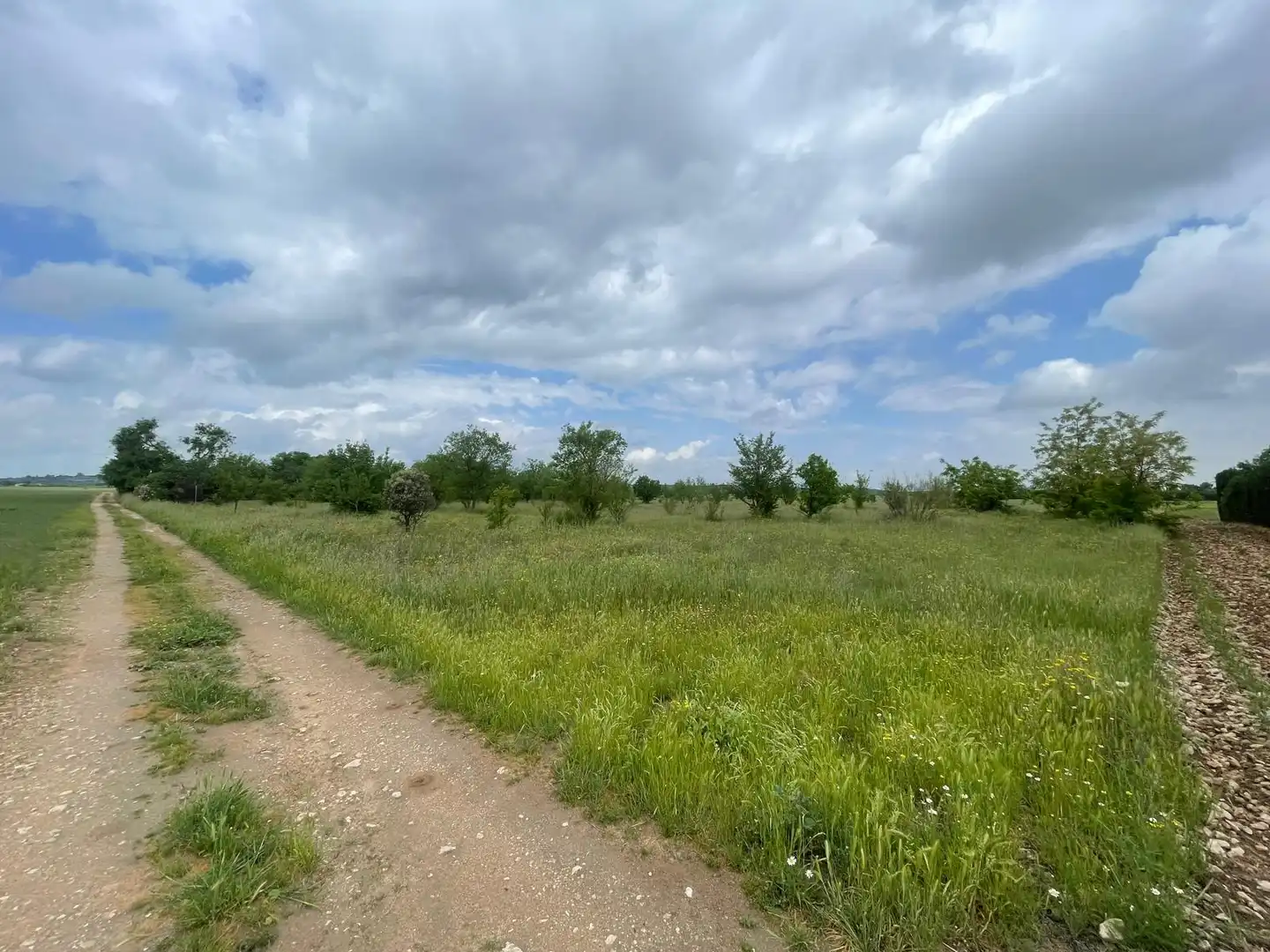 Rustikales Grundstück zum Verkauf in Carretera de Carrión 21, imagen 4