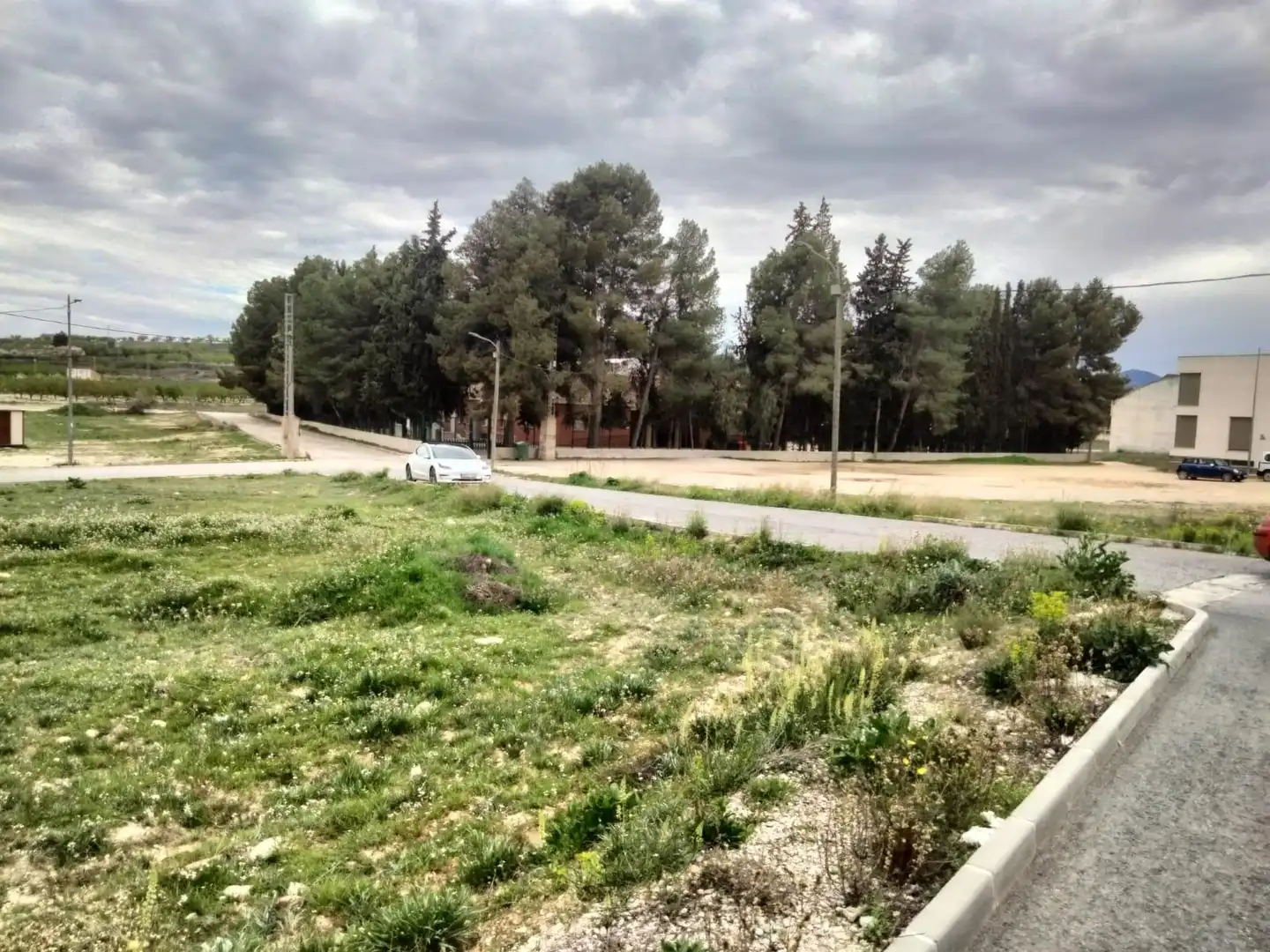 Lands and plots for sale in Bullas
