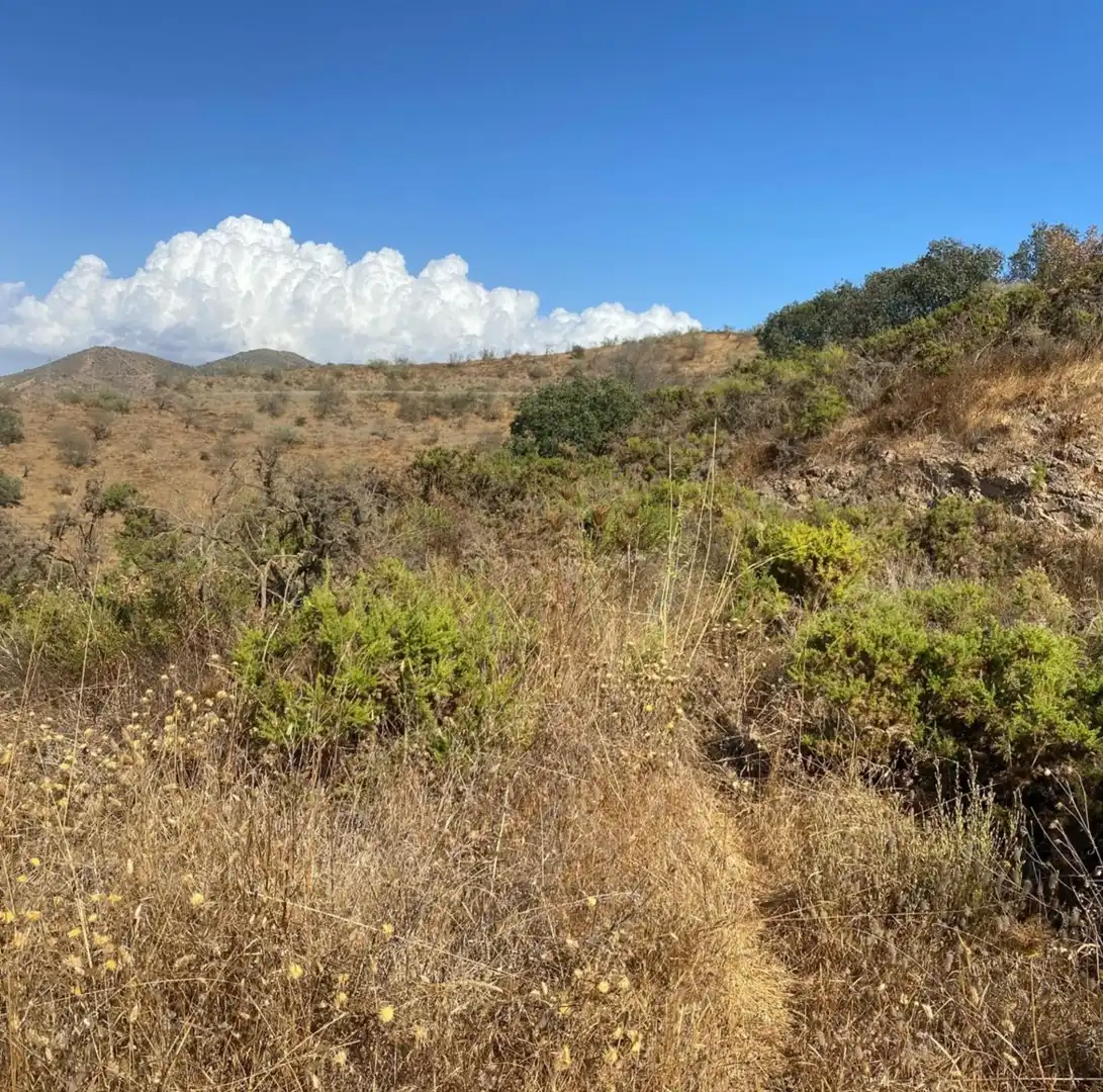 Rural land for sale in Cártama pueblo, imagen 3