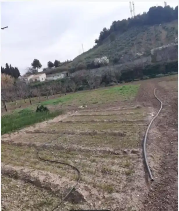 Terreni e lotti in vendita a Alcaudete, imagen 2
