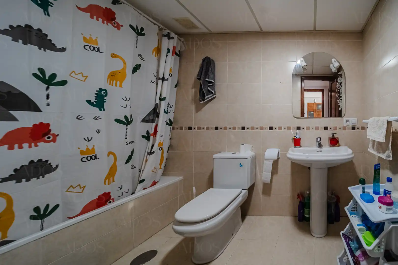 Bathroom of Attic for sale in Roquetas de Mar  with Terrace