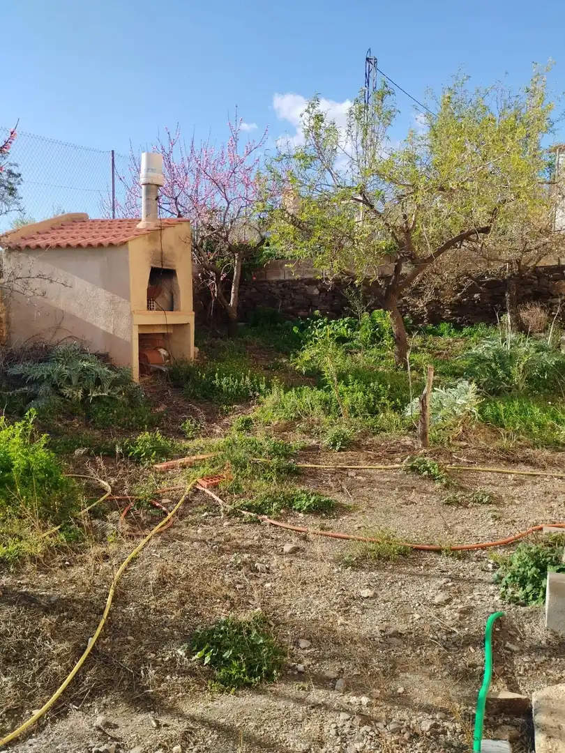 Casa rústica amb terrassa en venda a Camino Polígono 19 Parcela 224 ERMITA. ALBONDON (GRANADA, imagen 58