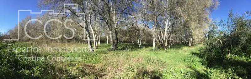 Finca rústica en venta en Pilas con Aire acondicionado, Terraza y Trastero
