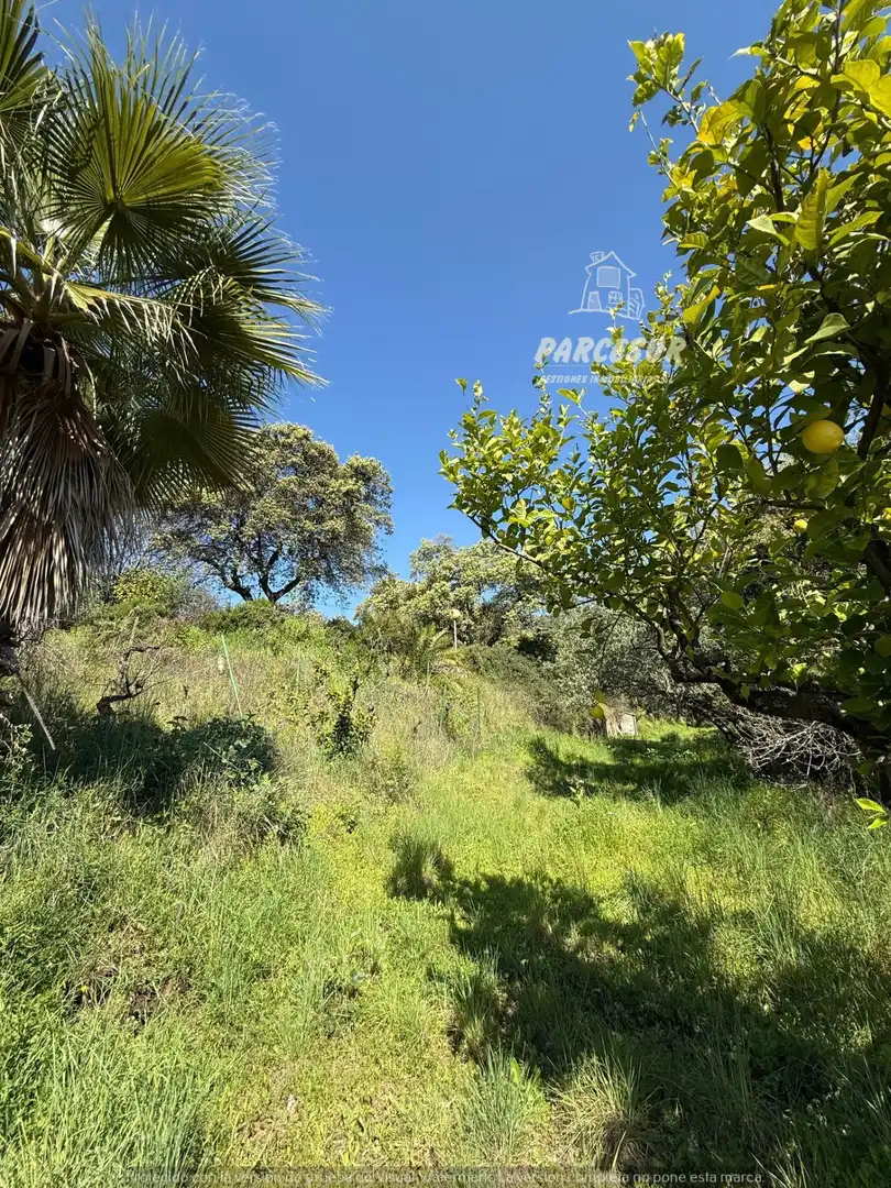 Finca rústica en venda en Córdoba amb Jardí privat i Traster