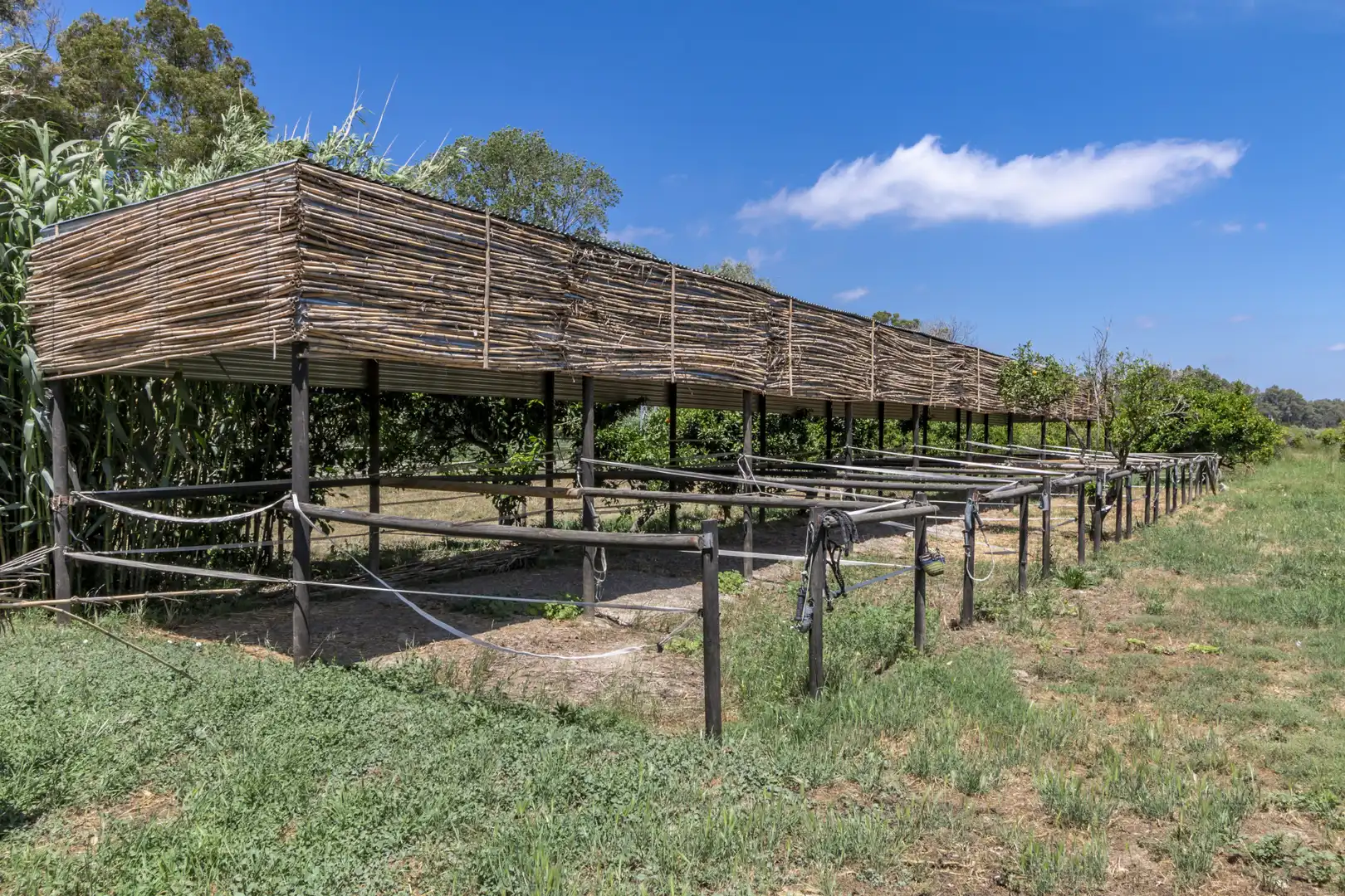 Maison avec jardin à vendre à San Enrique - Guadiaro -  Pueblo Nuevo, imagen 55