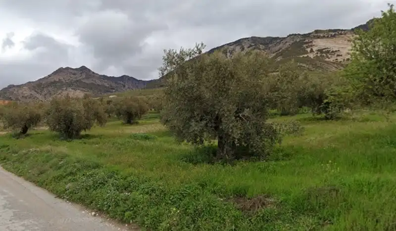 Rural land for sale in Dúrcal, imagen 9