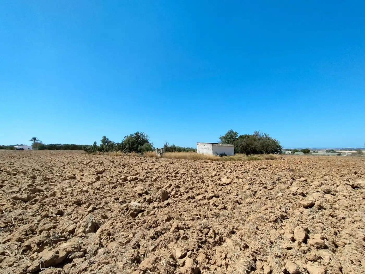 Country homes for sale in Puerto Real