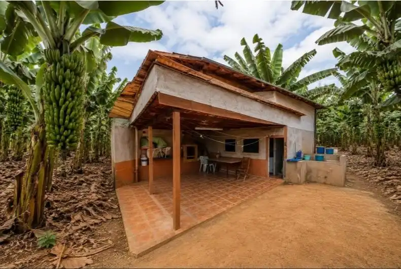 Exterior view of Houses for sale in Gáldar  with Private garden