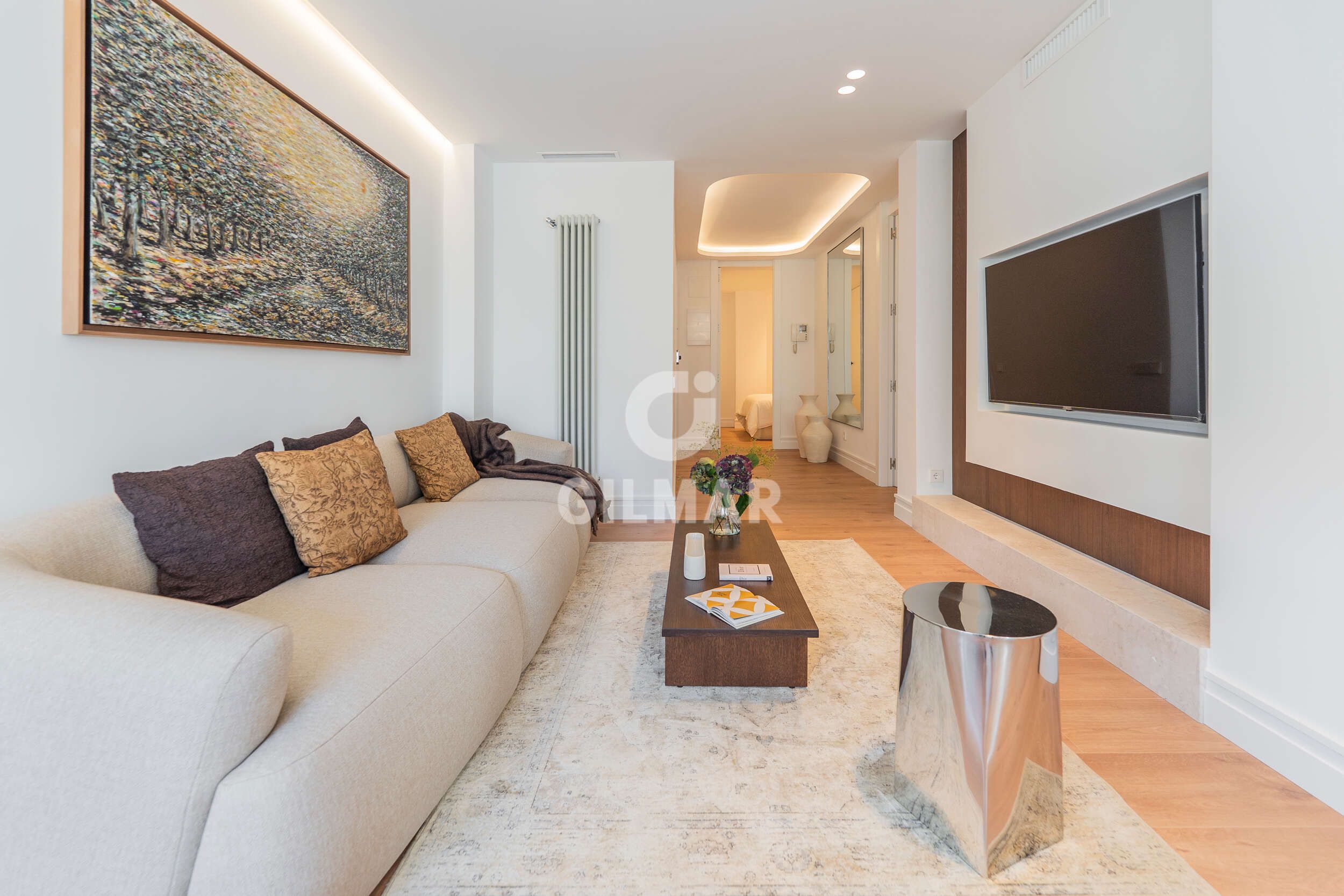 Living room of Flat for sale in  Madrid Capital  with Heating, Storage room and Furnished