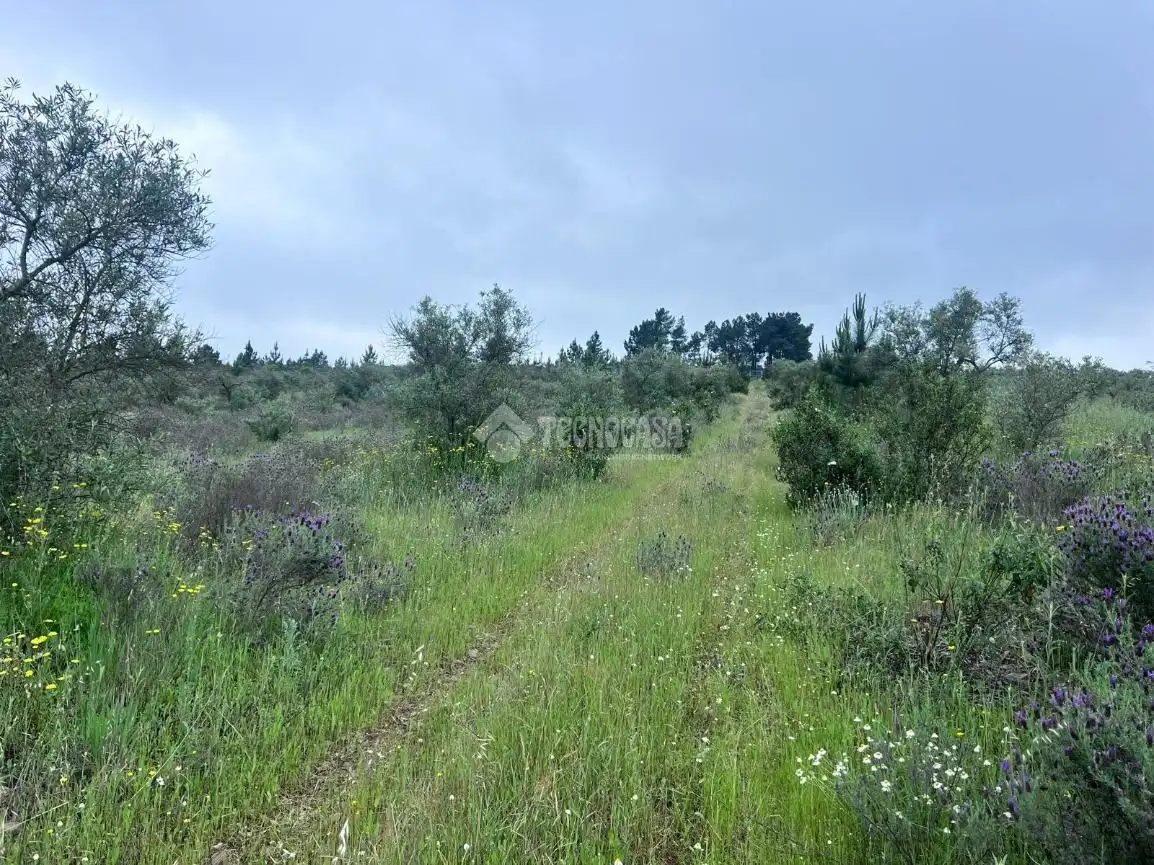 Finca rústica en venta en Puebla de Obando