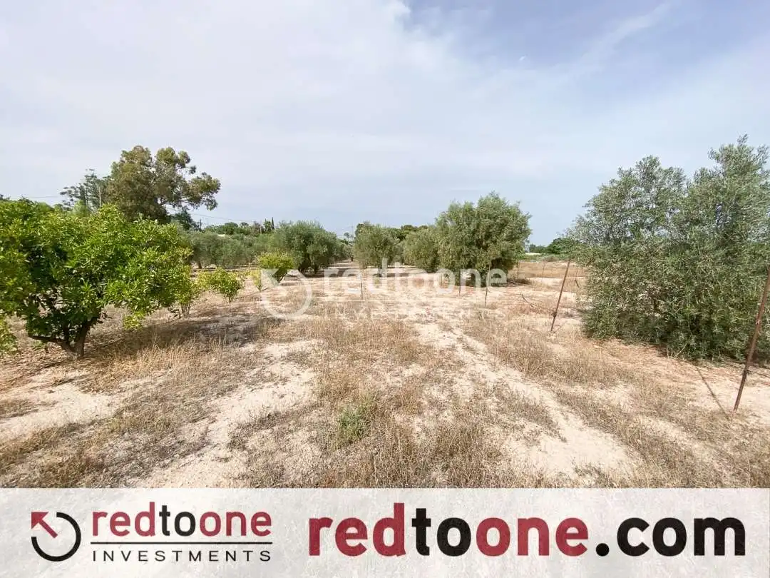 Casa o chalet en venta en Novelda con Jardín privado y Trastero