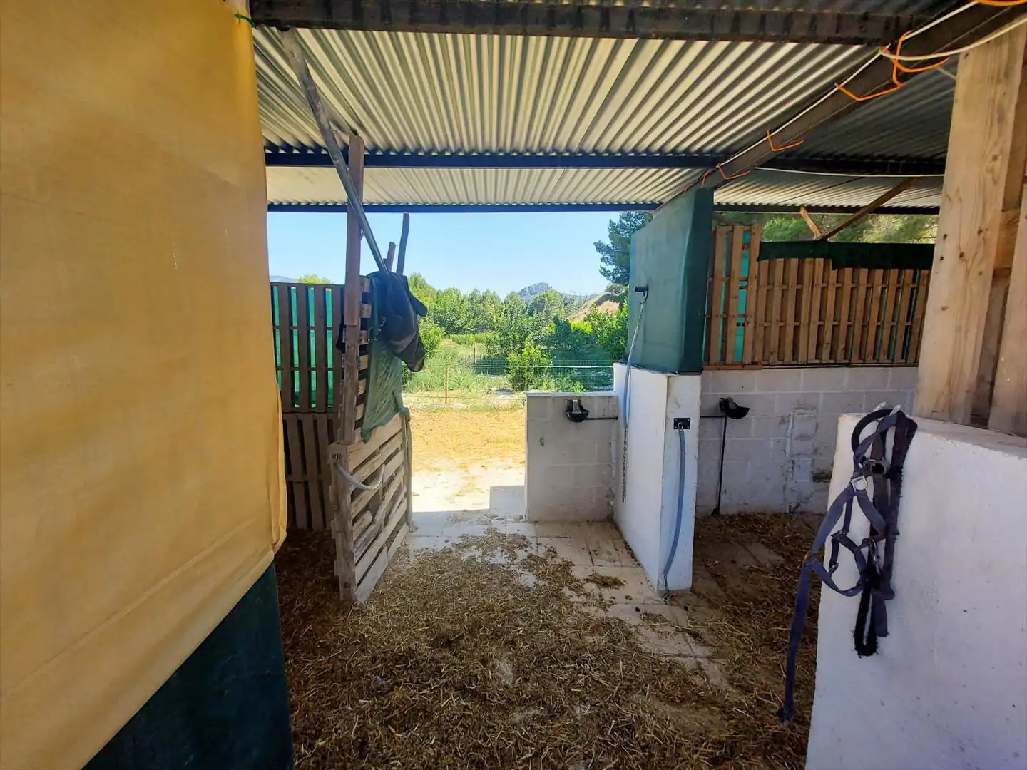 Exterior view of Country homes for sale in Cieza  with Private garden and Swimming Pool