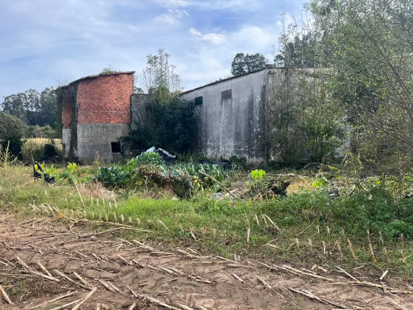 Terreno en venta en Hermosa - CAMPO REDONDO HERMOSA, Ceceñas - Hermosa