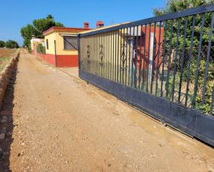 Exterior view of House or chalet for sale in Peñíscola / Peníscola  with Terrace