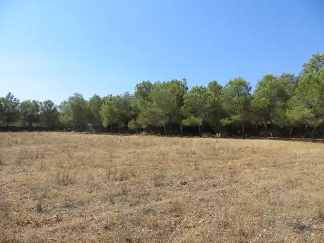 Residencial en venta en Campos