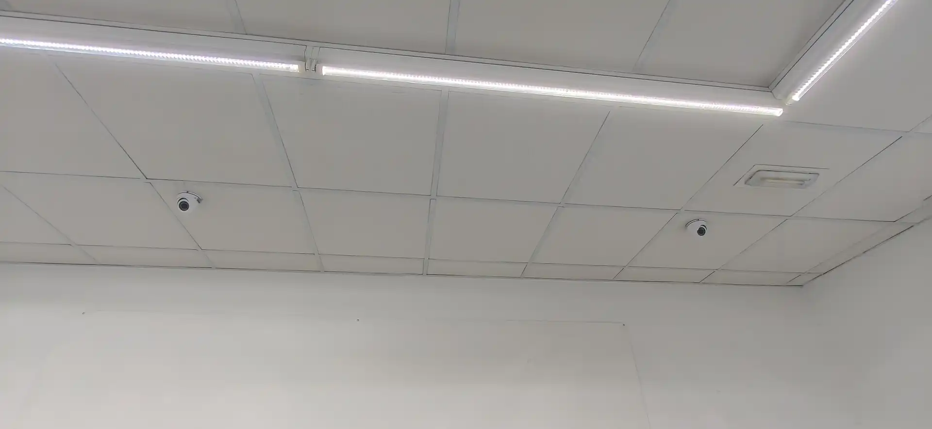 Local comercial de lloguer a SANTA ROSA, imagen 24
