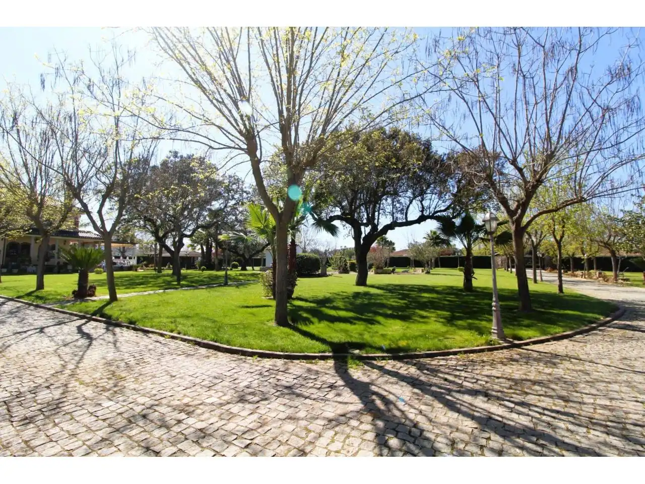 Terreni e lotti in vendita a Carretera de Sevilla - Los Montitos, imagen 48