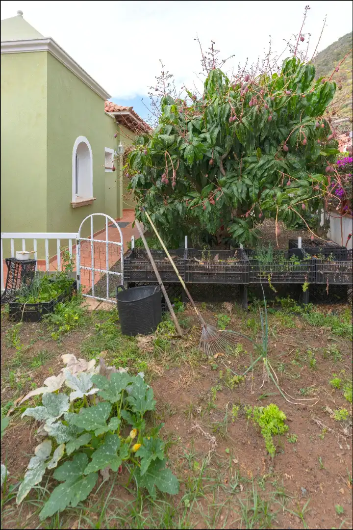 Jardí de Casa o xalet en venda en La Orotava amb Jardí privat, Terrassa i Traster
