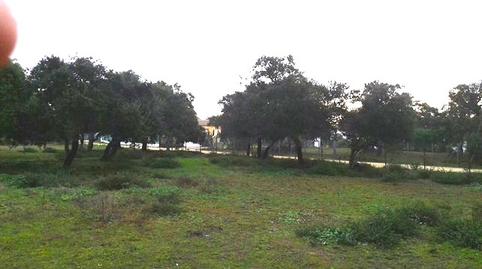 Photo 3 of Residential for sale in Pelagatos - Pago del Humo, Chiclana de la Frontera