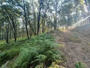 Terreni e lotti in vendita a Losar de la Vera, imagen 18