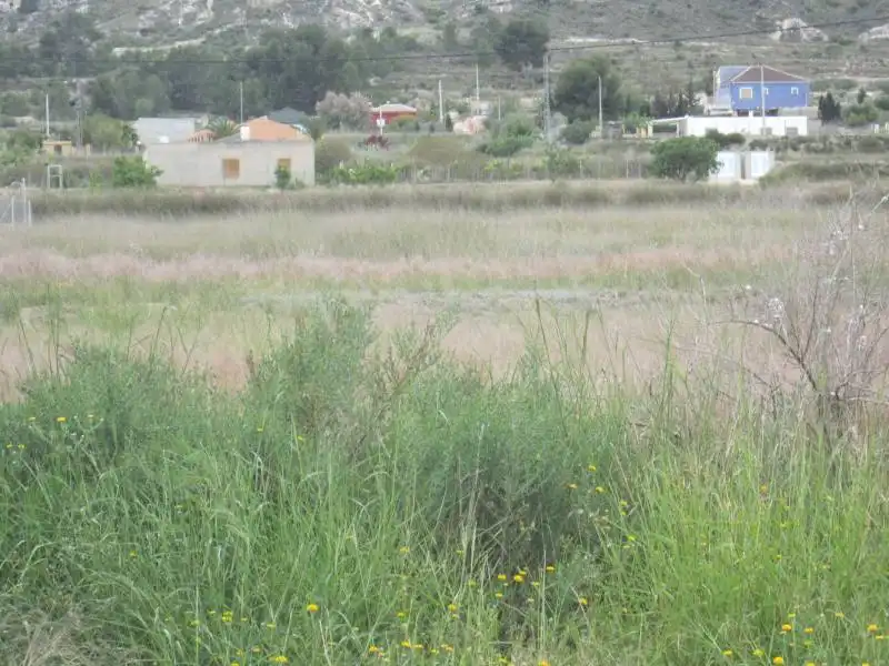 Terreny residencial en venda a Pedanías Este
