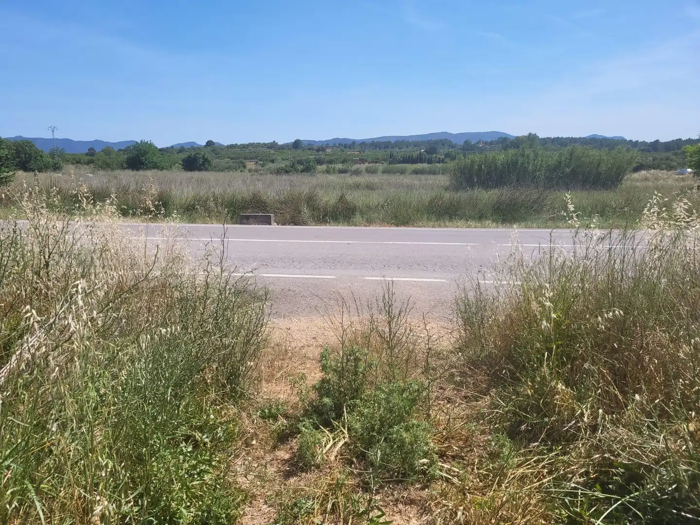 Terreny rústic en venda a Vall d'Alba, imagen 7