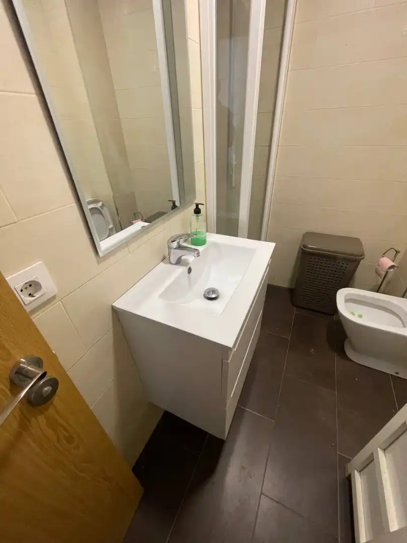 Bathroom of Apartments for rent in A Coruña Capital   with Parquet flooring, Furnished and Oven