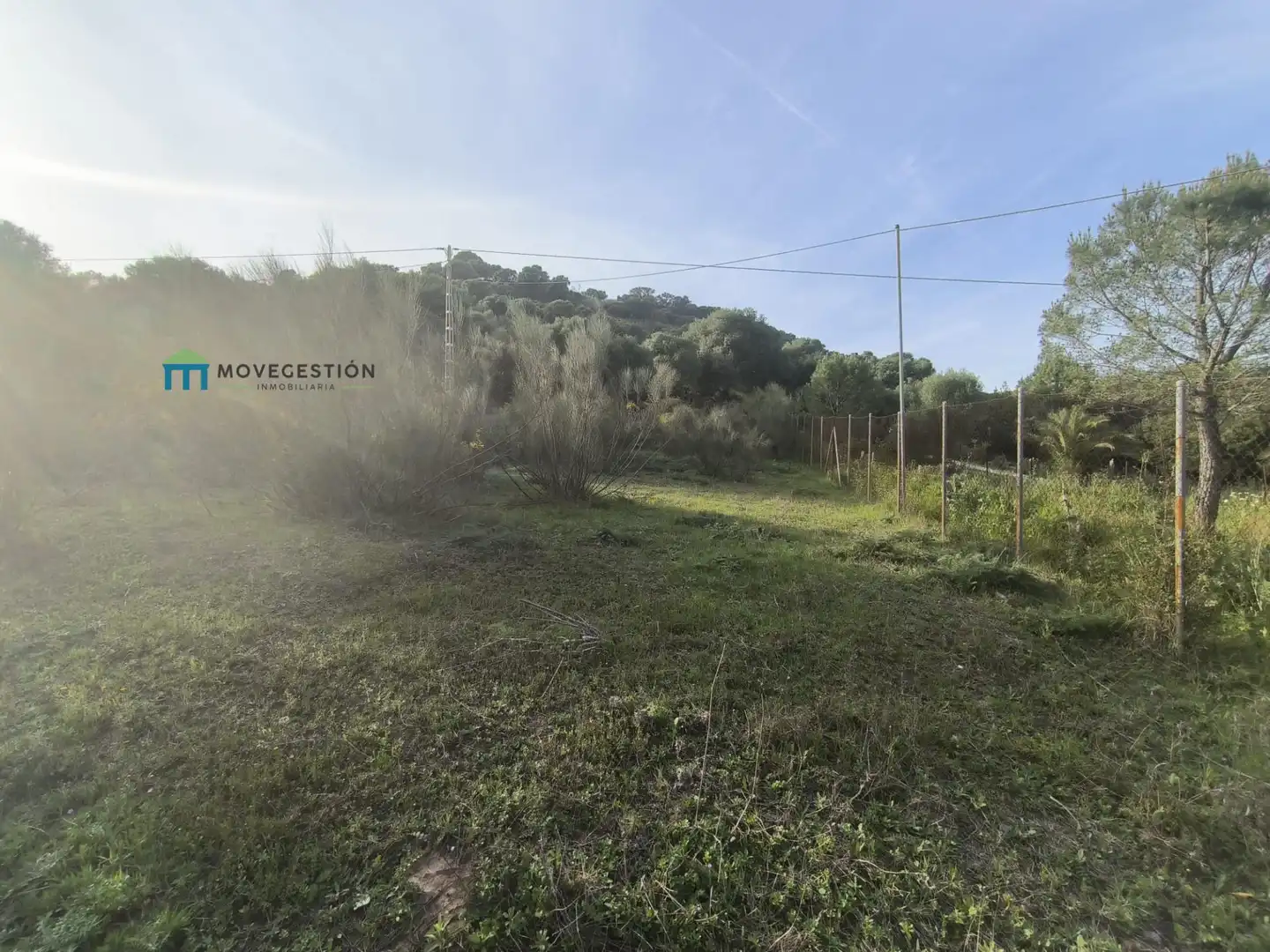 Terrain rustique à vendre à Ubrique, imagen 4