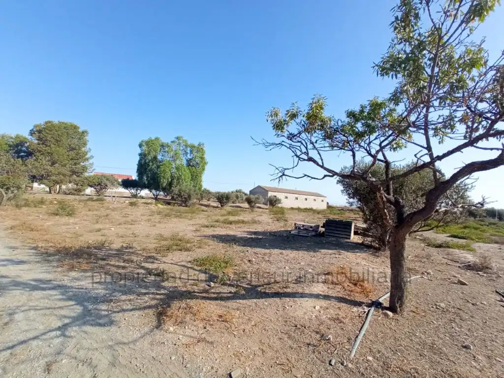 Country homes for sale in Lorca