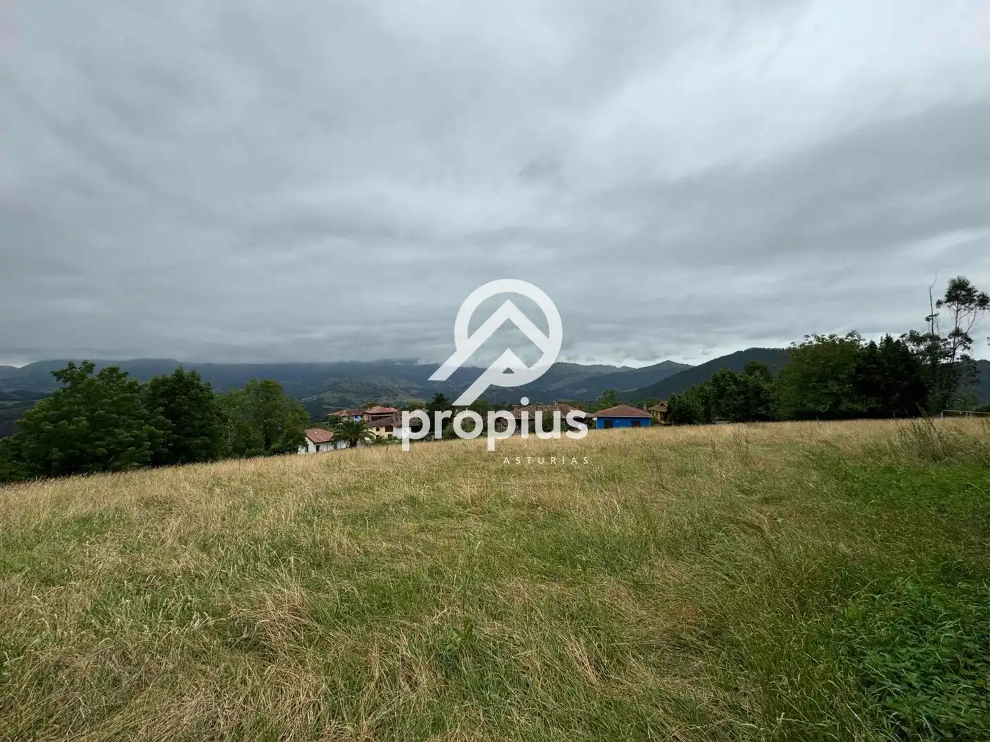 Rural land for sale in Arenas, imagen 18