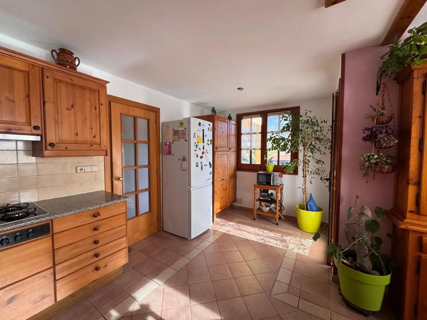 Cocina de Casa o chalet en venta en Sant Feliu de Buixalleu con Calefacción, Jardín privado y Terraza