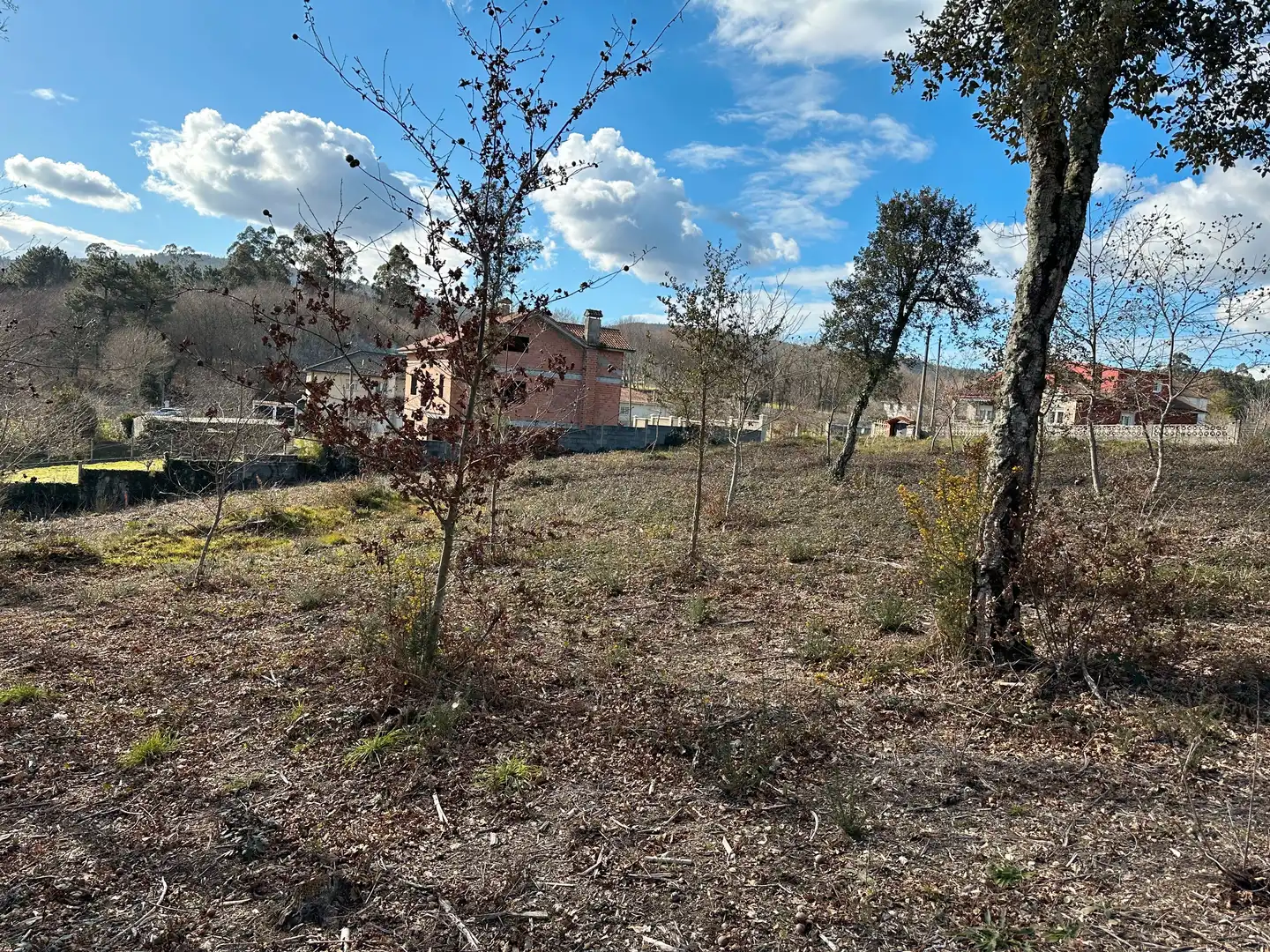 Terreni e lotti in vendita a Urbanización Ferreiriños 25, imagen 6