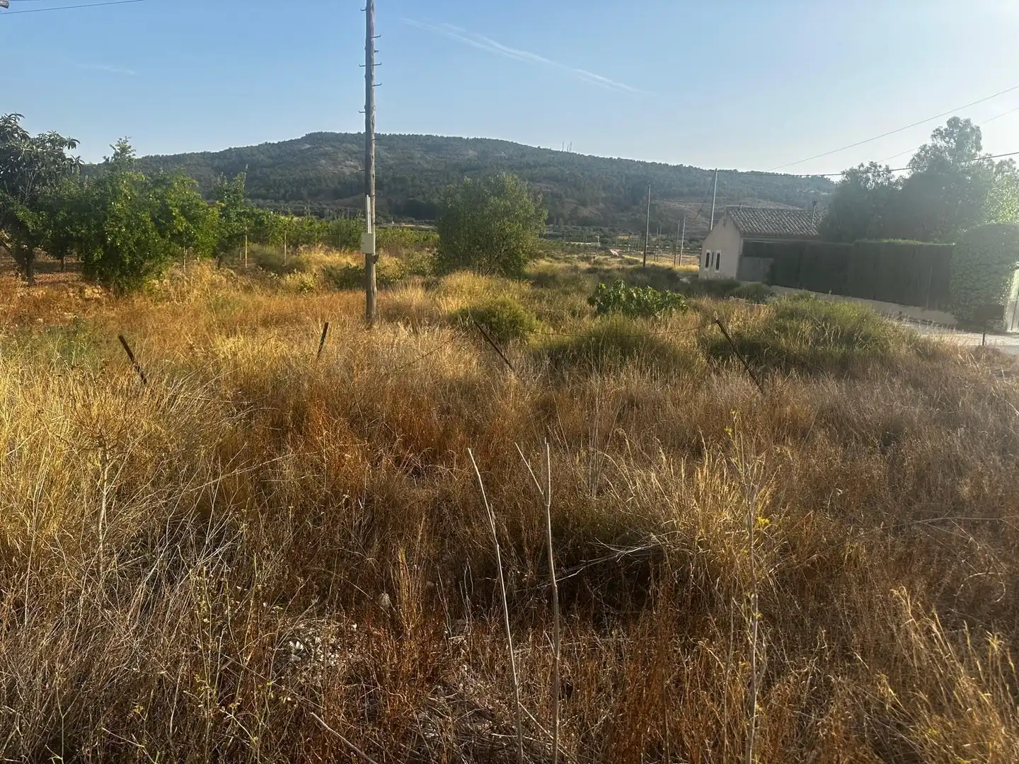 Wohnbaugrundstück zum Verkauf in El Pinós / Pinoso, imagen 3