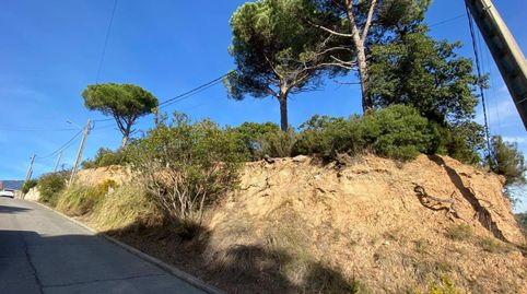 A siete kilómetros del pueblo de Sant Celoni, imatge 5
