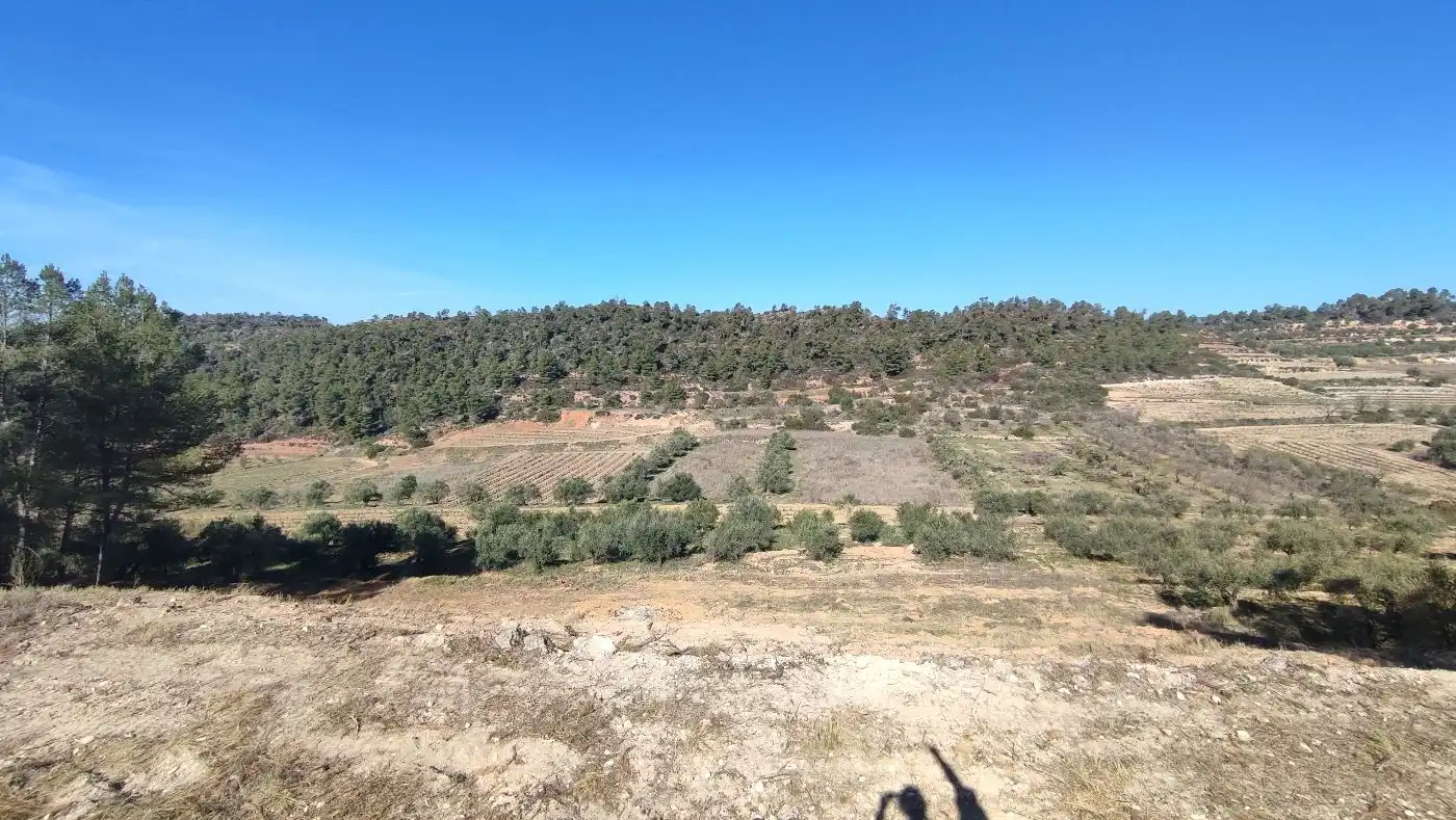 Rural land for sale in Carrer de les Pinyeres 24, imagen 14