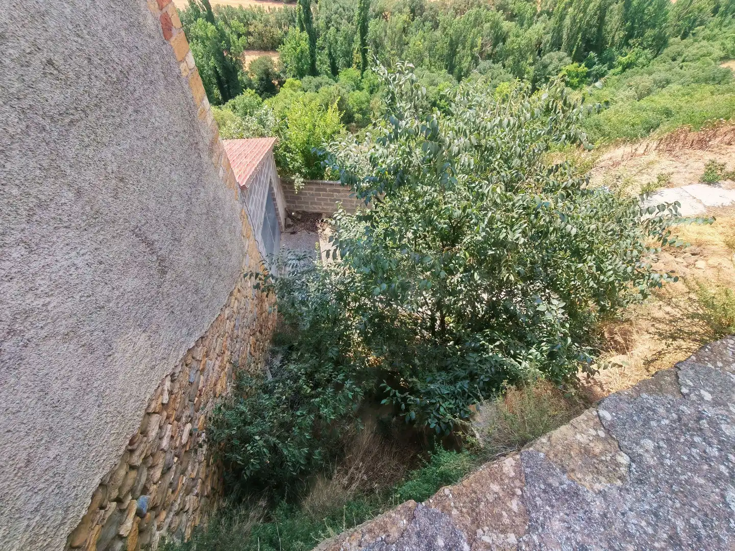 Garden of Country homes for sale in Àger