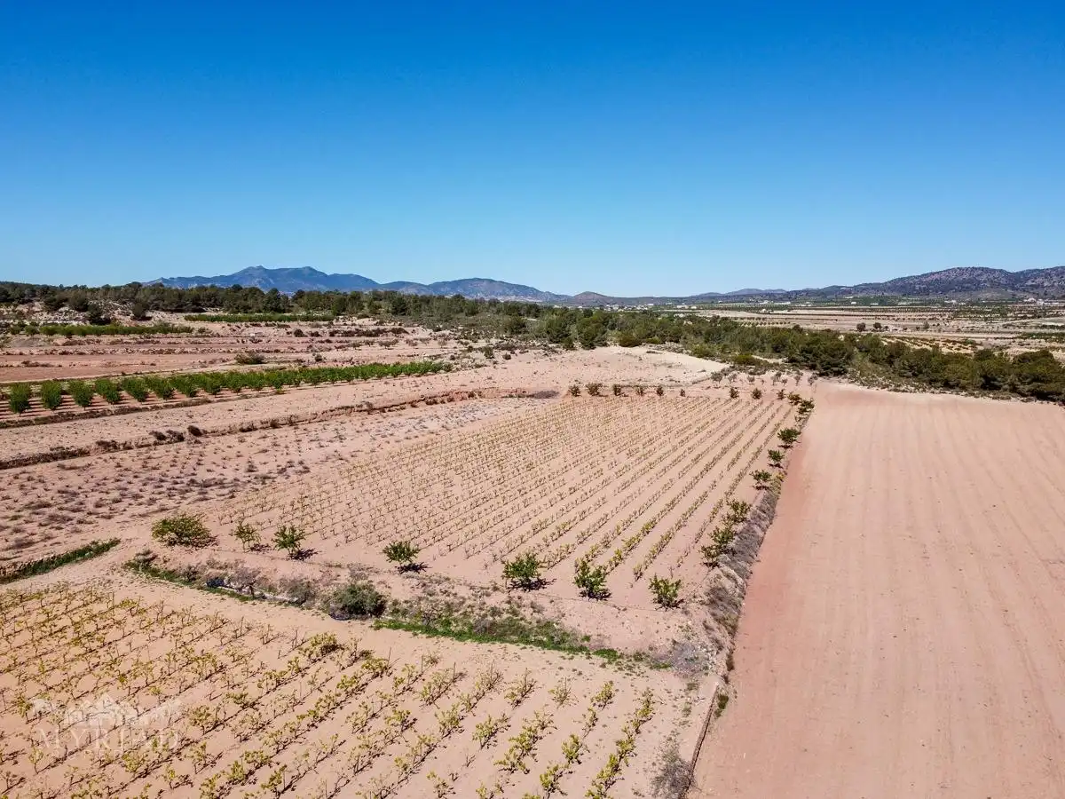 Terreno residencial en venta en El Pinós / Pinoso, imagen 5