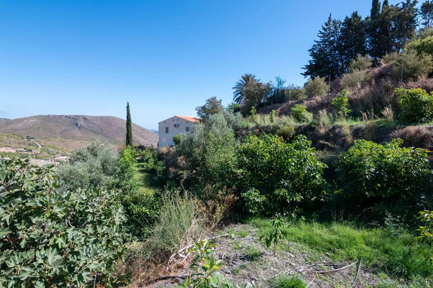Casa o chalet en venta en Molvízar con Terraza y Piscina